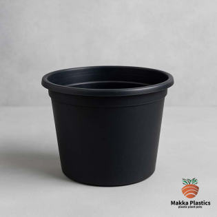 قصرية تربية سوداء